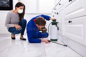 Real Estate Pest Inspections in Westminster, CO